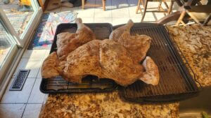 Spatchcocked turkey covered in seasoning on a wire rack before smoking for Thanksgiving