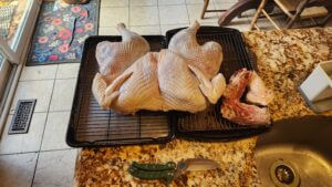 Spatchcocked raw turkey laid flat on a rack with removed backbone and knife on the counter