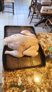 Whole raw turkey on a rack before being spatchcocked for Thanksgiving preparation